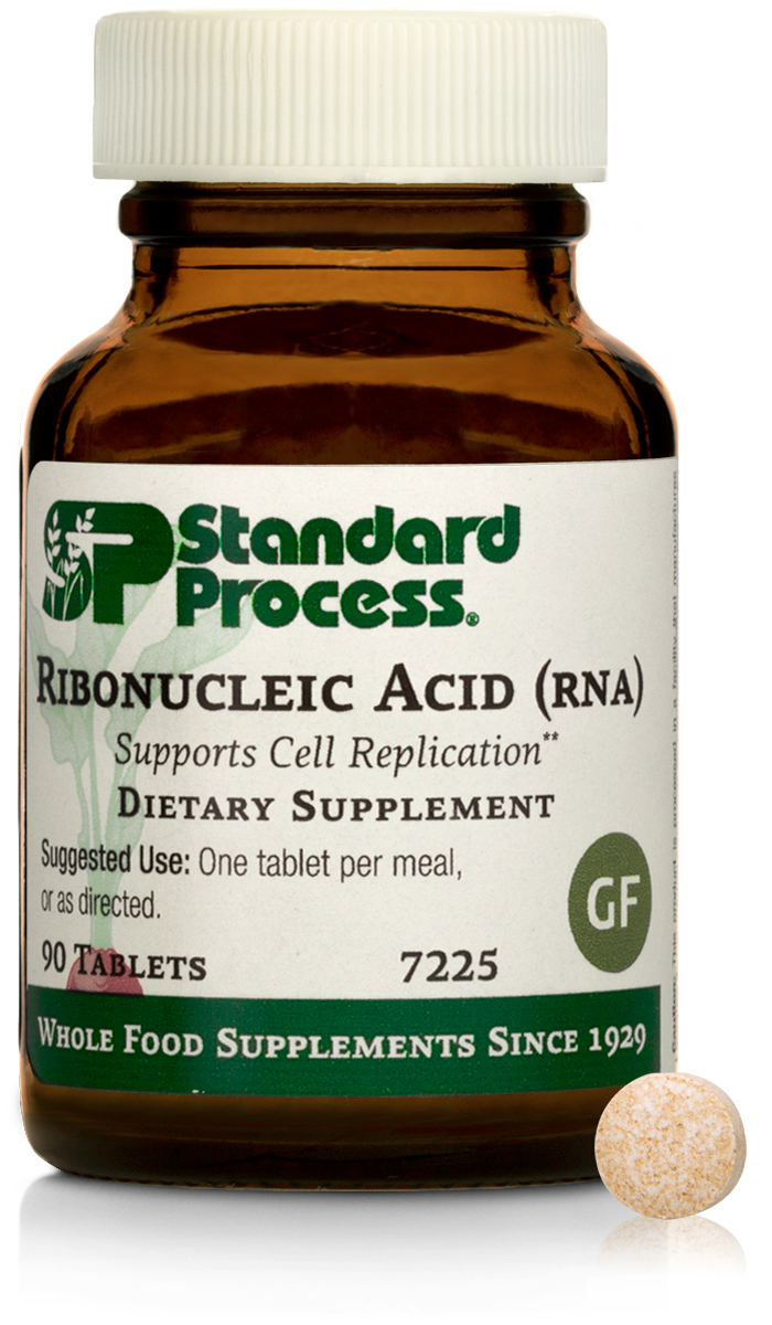 Ribonucleic Acid (RNA)